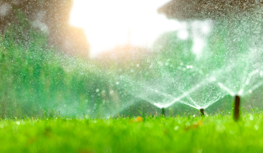 lawn care wellington sprinklers